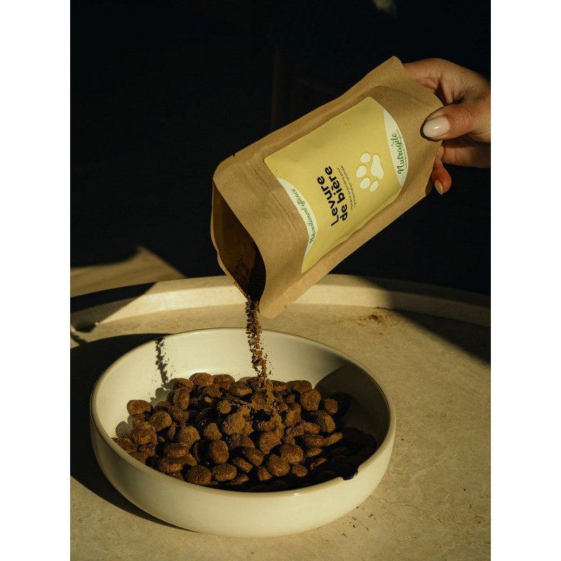 Levure de bière 250g Nutragile