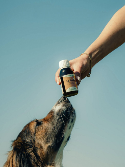 Solution Tonic 125ml Nutragile