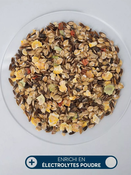 Mash Electrolytes Unidose 750g