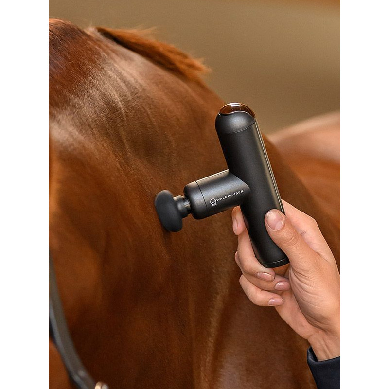 Appareil de massage PocketRelax Waldhausen Health +