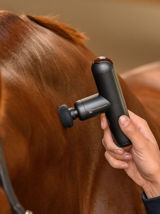 Appareil de massage PocketRelax Waldhausen Health +