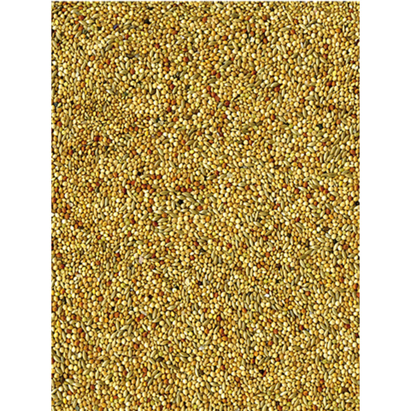 Mélange de graines Basic oiseaux exotiques 20kg Vadigran