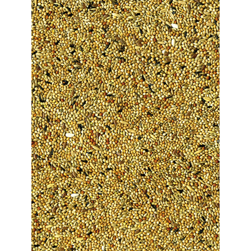 Mélange de graines Original perruches 4kg Vadigra