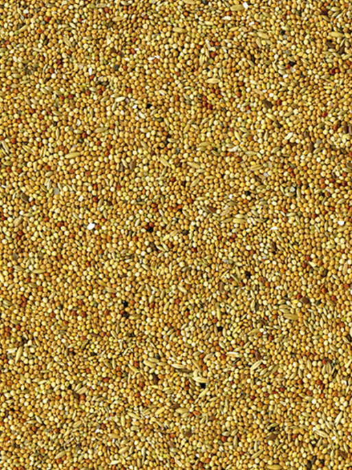 Mélange de graines Basic perruches 20kg Vadigran