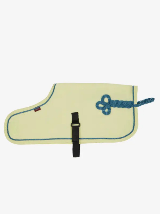 Couverture Toy Pony Lemieux