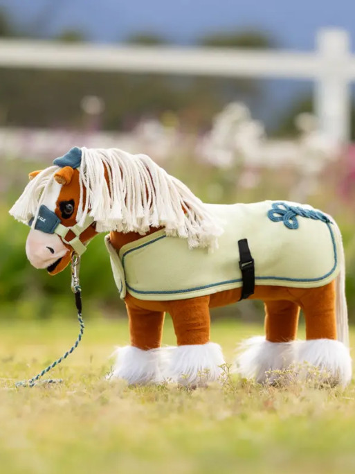Couverture Toy Pony Lemieux