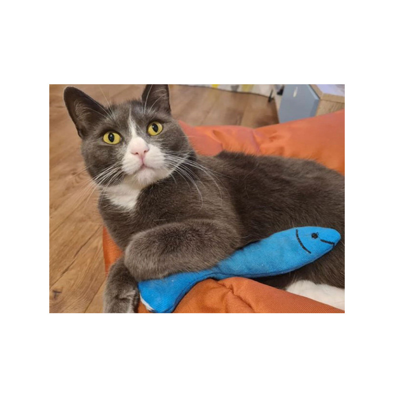 Jouet sardine 19.8cm King Catnip