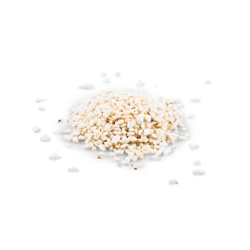 Mélange de riz Pure chien 800g Rizi
