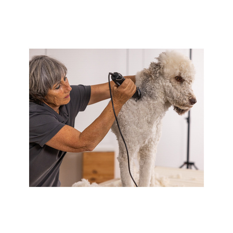 Tondeuse Max50+ Wahl