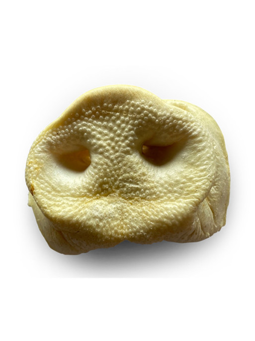 Nez de cochon soufflé vrac Vadigran