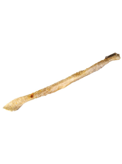 Sébaste 23cm vrac Vadigran