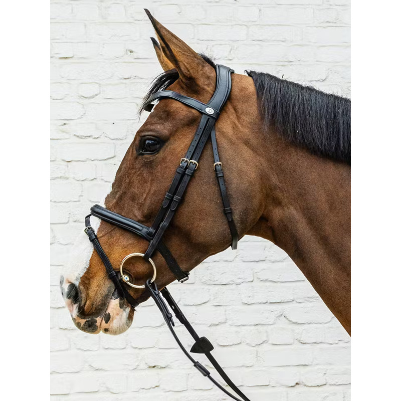 Bridon Flash soft leather Dy'on