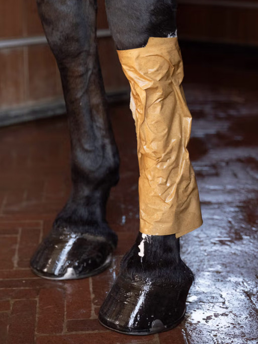Rouleau de papier pour application argile Grooming Deluxe Kentucky
