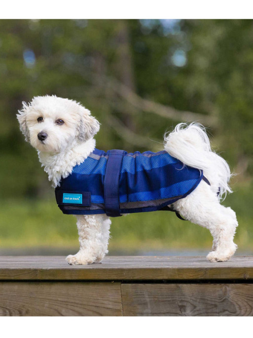 Manteau rafraîchissant chien Cool on Track 2.0 Back On Track