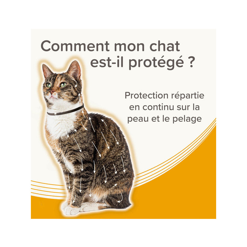 Collier médicamenteux 1.25g + 056g chat Beaphar
