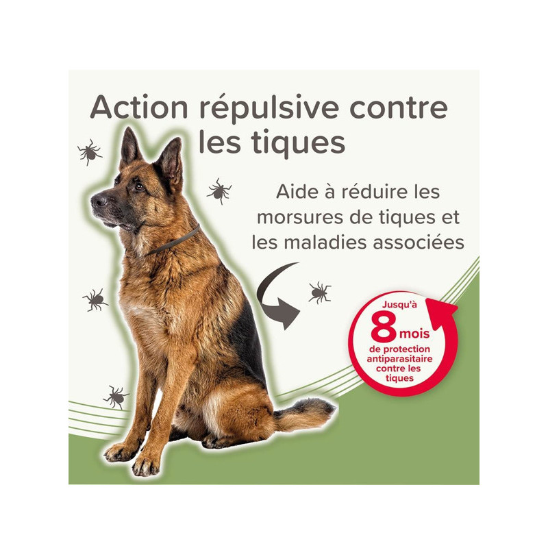 Collier médicamenteux 4.5g + 2.03g chien Beaphar