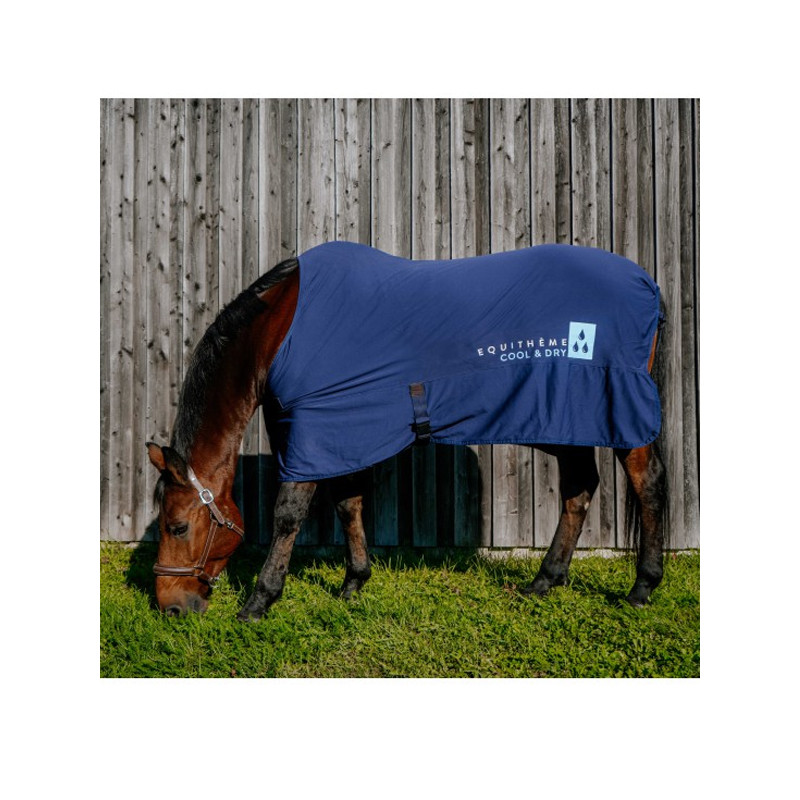 Chemise Fresh Cool&dry Equi-Thème