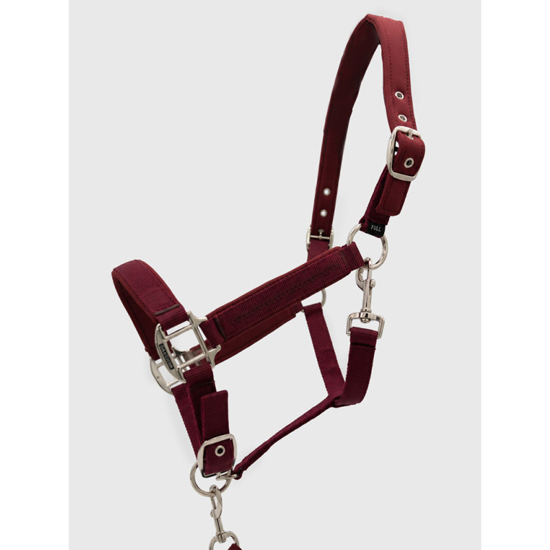 Licol + longe Cinsy FW26 Harcour