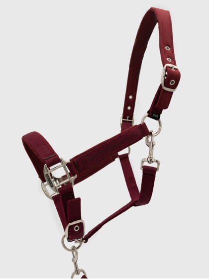 Licol + longe Cinsy FW26 Harcour