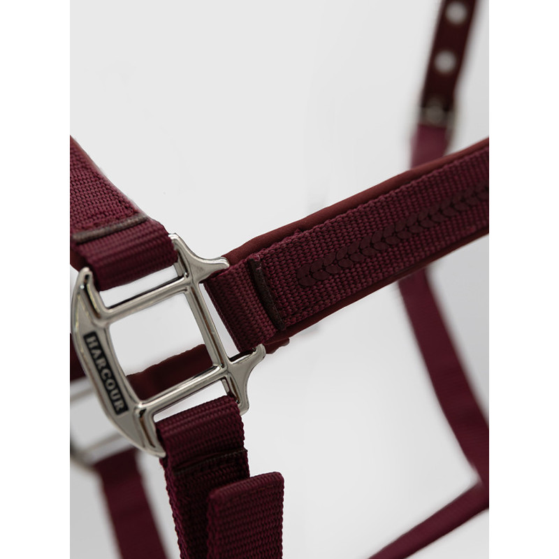 Licol + longe Cinsy FW26 Harcour