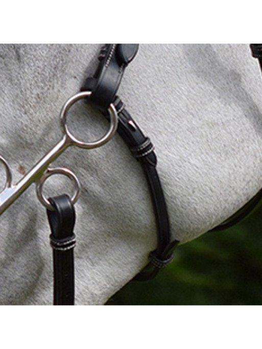 Montants et lanière pour hackamore Collection Week Jump'In