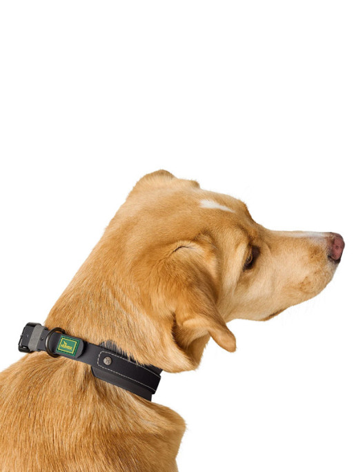 Collier Havanna Hunter
