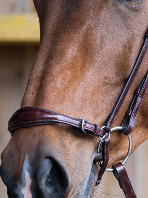 Bridon Evolution muserolle allemande Origin Jump'In