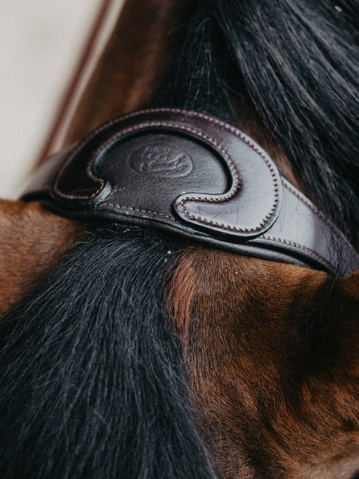Bridon Evolution muserolle croisée Origin Jump'In