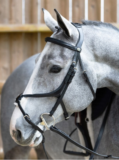 Bridon Evolution muserolle croisée Origin Jump'In