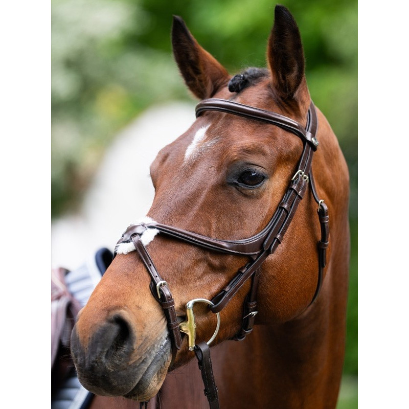 Bridon Evolution muserolle croisée Origin Jump'In