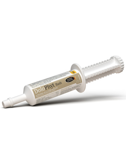 Seringue articulaire Dolophyt 30ml Horse Master