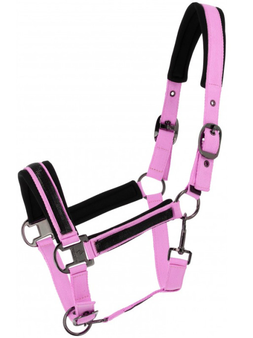 Licol nylon strass Equithème