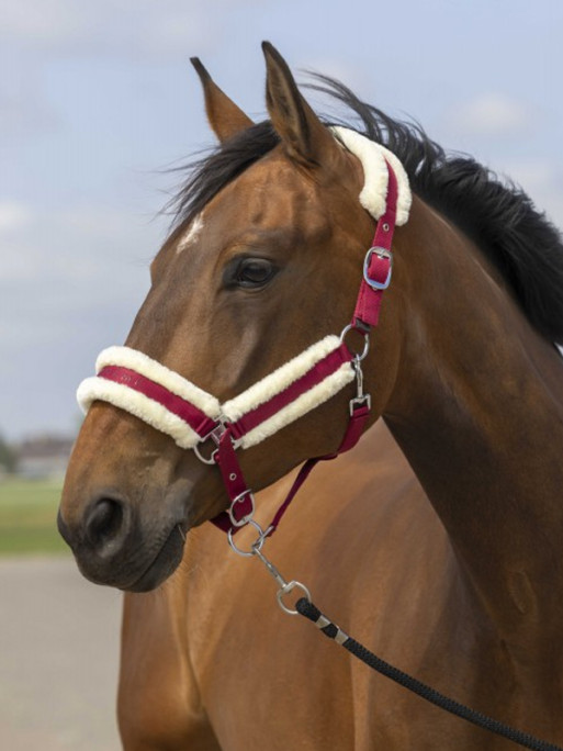 Licol nylon mouton Equi-Thème