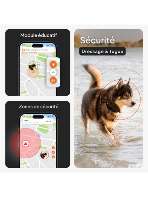 Collier avec traceur GPS XT chien Weenect