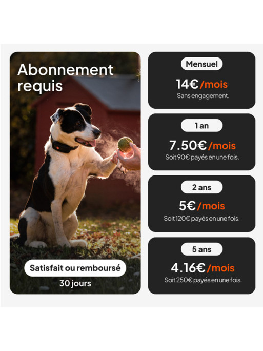 Collier avec traceur GPS XT chien Weenect