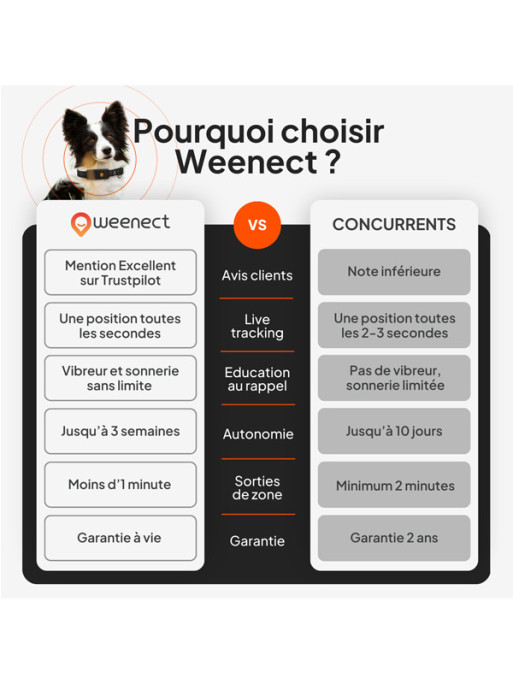 Collier avec traceur GPS XT chien Weenect