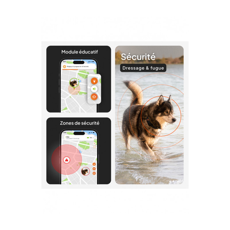 Traceur GPS XT chien Weenect