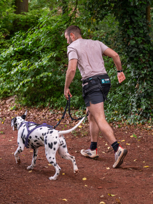 Harnais Olympia Cani Gear