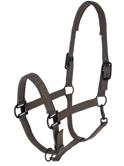 Licol FW26 Covalliero