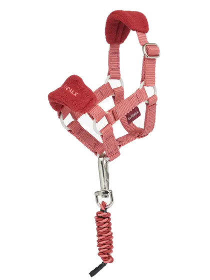 Licol Toy Pony Lemieux
