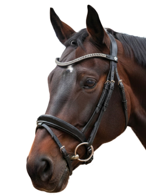 Bridon Valegro Canter