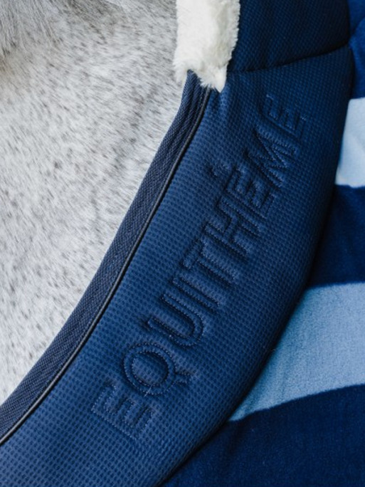 Chemise polaire Confortech Stripe Equi-Thème