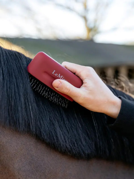 Peigne démêlant pour crinière LeMieux