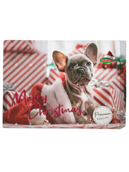 Calendrier de l'avent chien viande XMAS Bubimex