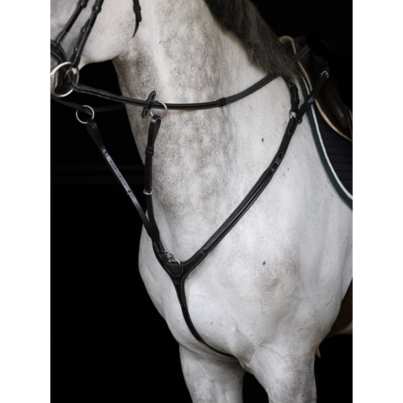 Collier de chasse Aosta HFI