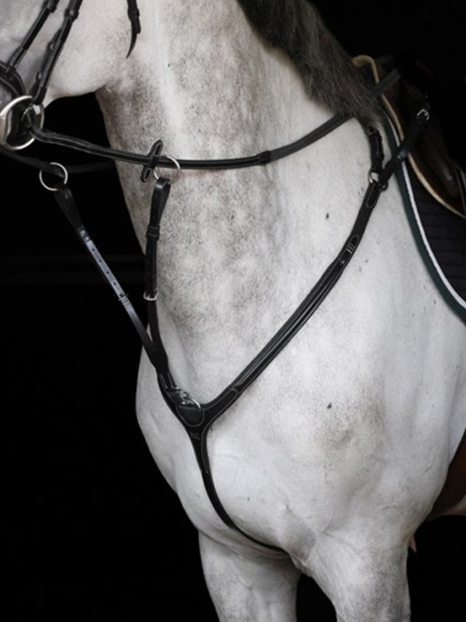 Collier de chasse Aosta HFI