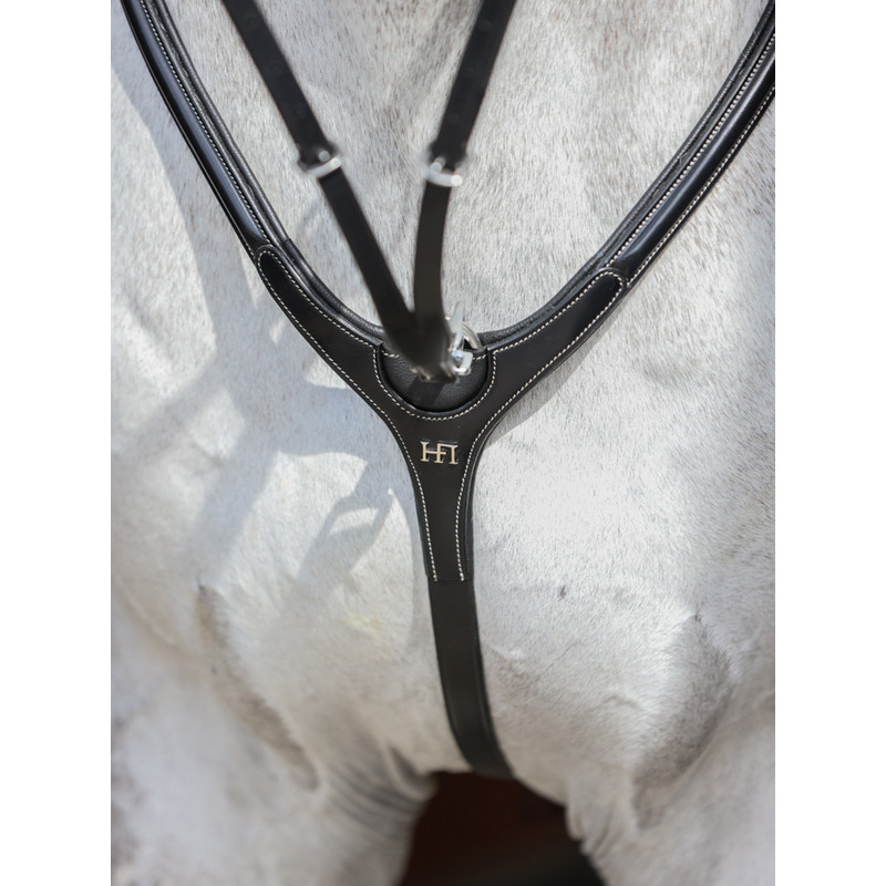 Collier de chasse Aosta HFI