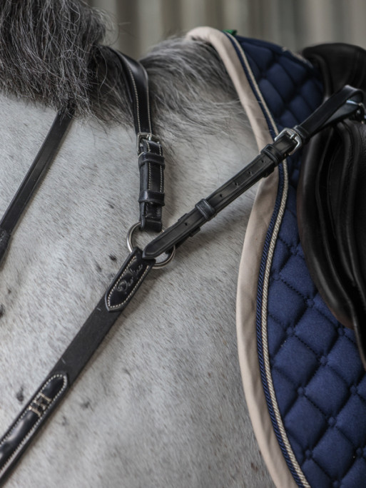 Collier de chasse Aosta HFI