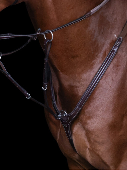 Collier de chasse Aosta HFI
