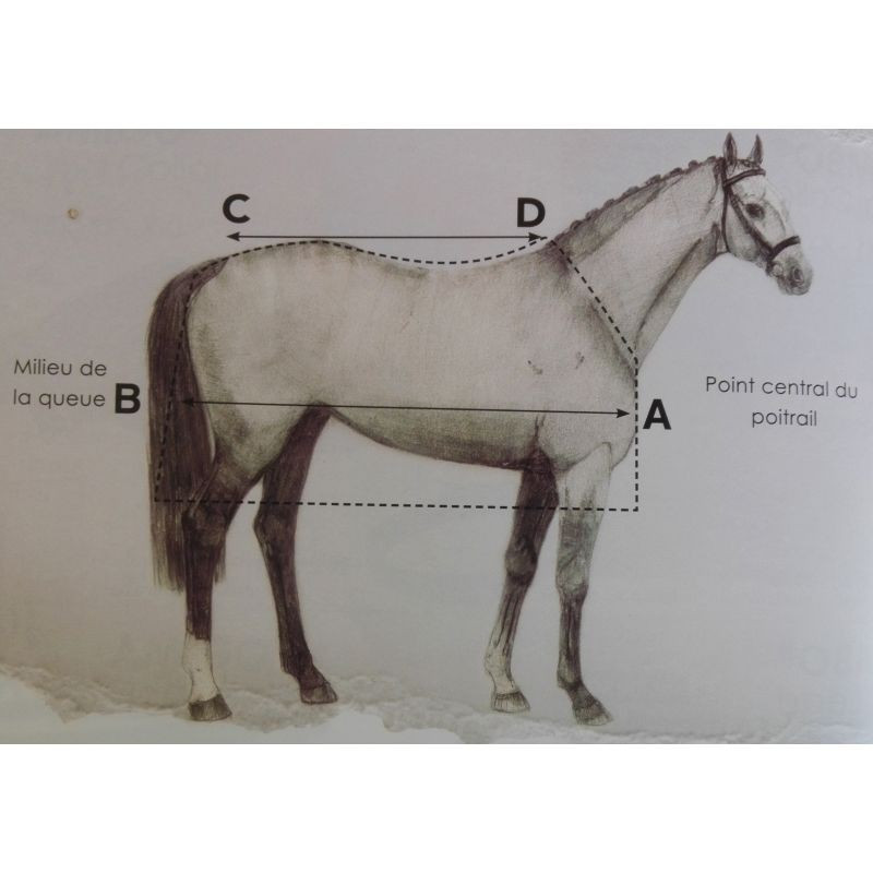 Séchante Rambo airmax Cooler Horseware